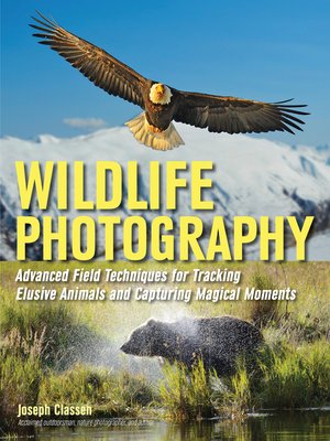 cover image of Wildlife Photography